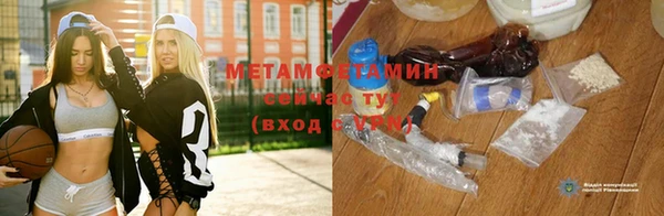 прущие грибы Горнозаводск