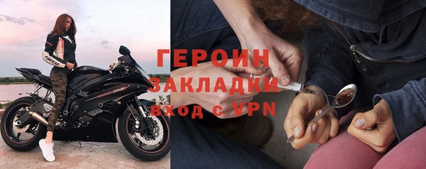 прущие грибы Надым
