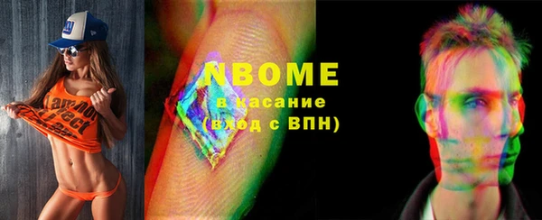 прущие грибы Надым