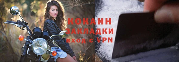 прущие грибы Горнозаводск