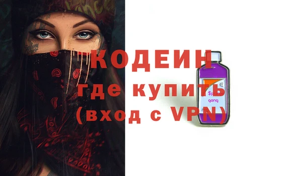 прущие грибы Надым