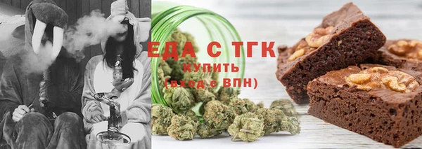 прущие грибы Надым