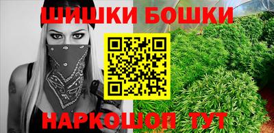 индика Гусиноозёрск