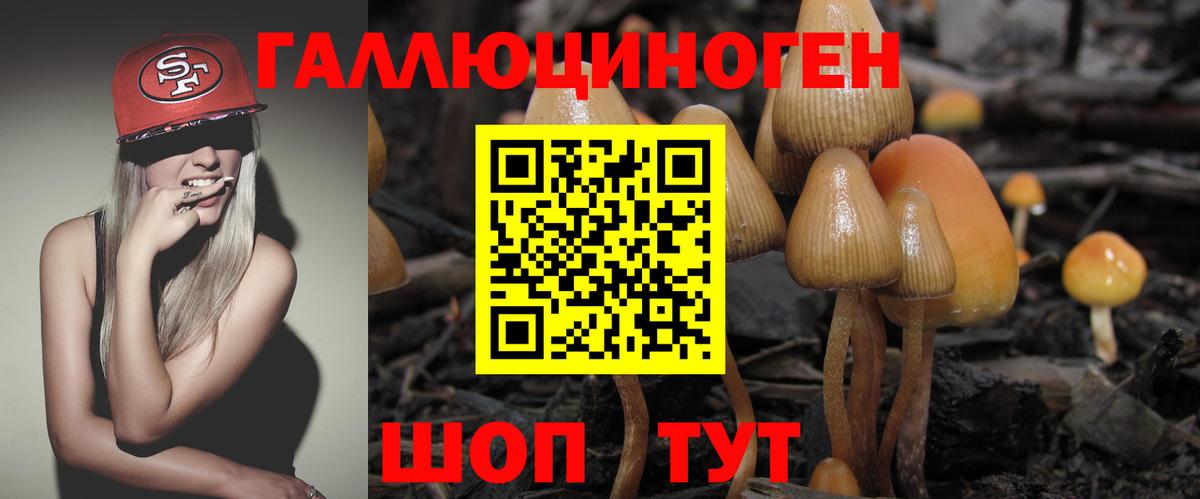 Галлюциногенные грибы Cubensis Дедовск