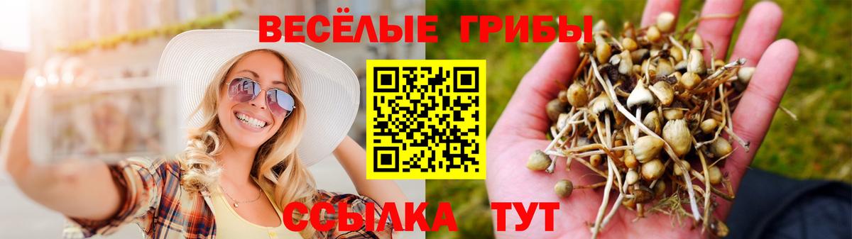 Галлюциногенные грибы прущие грибы  Вход с VPN  Дедовск 